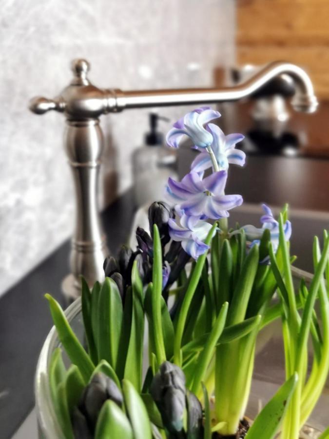Siedlisko Koscielisko Apartment Bagian luar foto