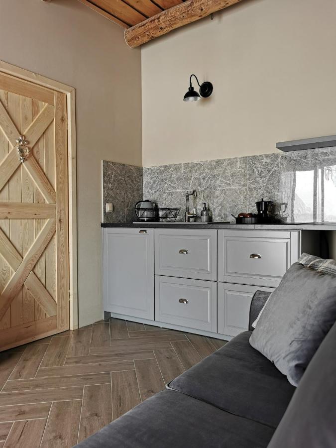 Siedlisko Koscielisko Apartment Bagian luar foto