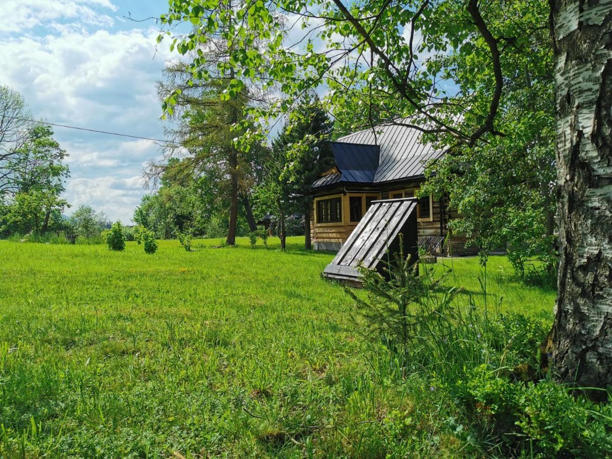 Siedlisko Koscielisko Apartment Bagian luar foto