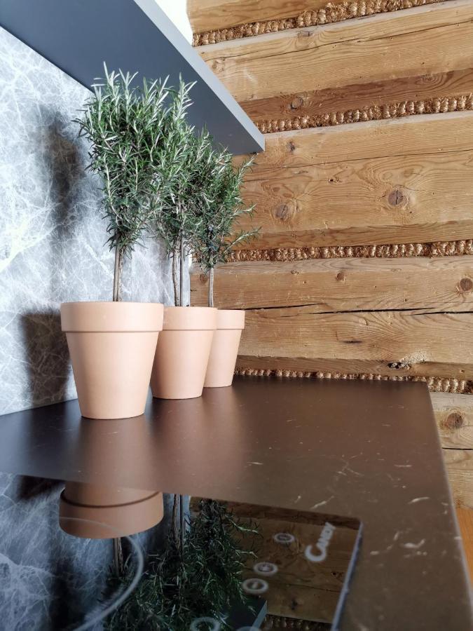 Siedlisko Koscielisko Apartment Bagian luar foto